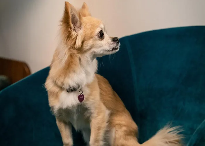 Maison Colbert Melia Collection Hotel